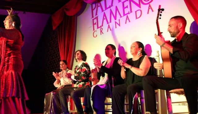 Palacio Flamenco Granada: Flamenco Show