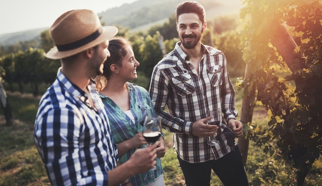 Full‐day Mount Tamborine winery tour from Brisbane with lunch