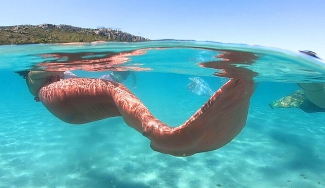 Cagliari Mermaid Experience in the Gulf of Angels