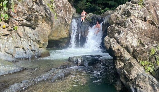 Half‐Day El Yunque Rainforest Tour from Fajardo