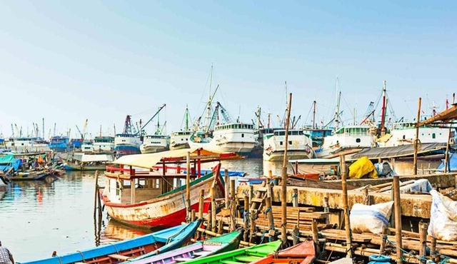 Full‐Day Highlights of Jakarta Private Tour with Lunch