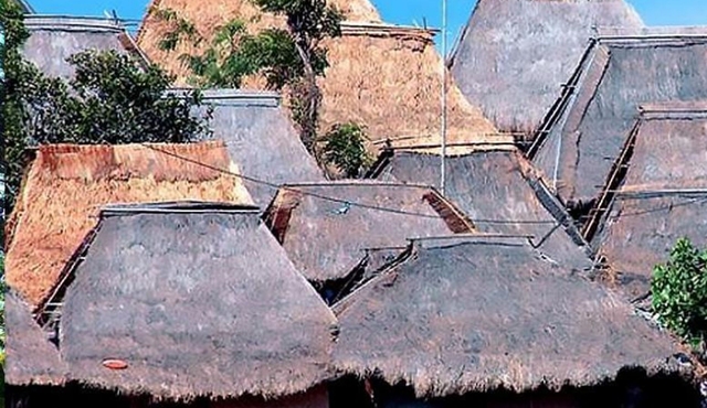 Explore Bumi Gora & Kuta Lombok