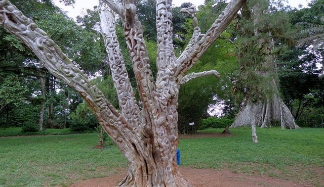 Day Trip to Akwapim Range