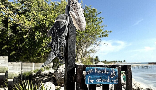 Isla Contoy! Explore a Bird Sanctuary from Cancun