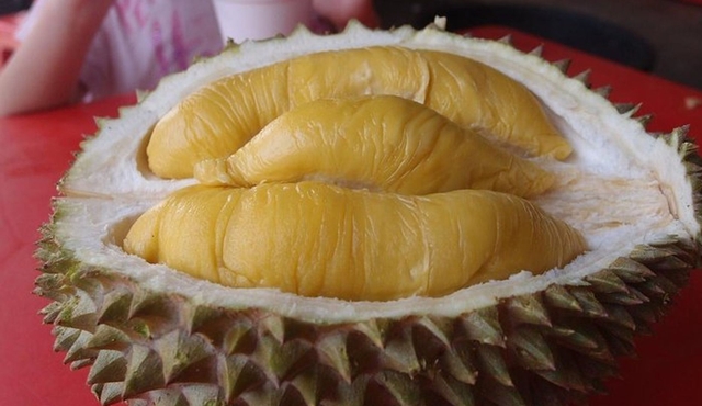 King of Tropical Fruits — Durian Tasting Tour From Kuala Lumpur