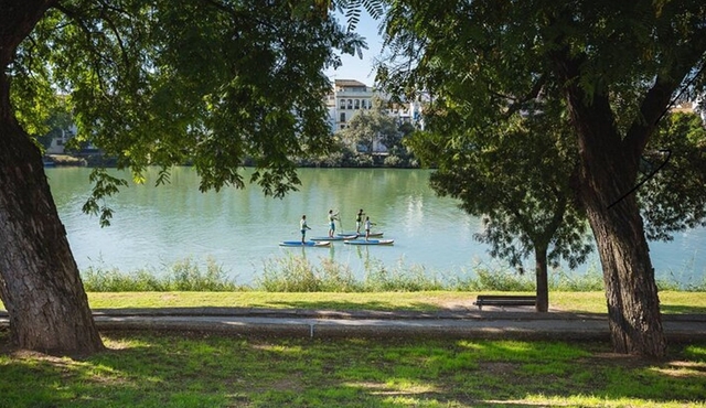 Seville Private Paddle Surf Tour