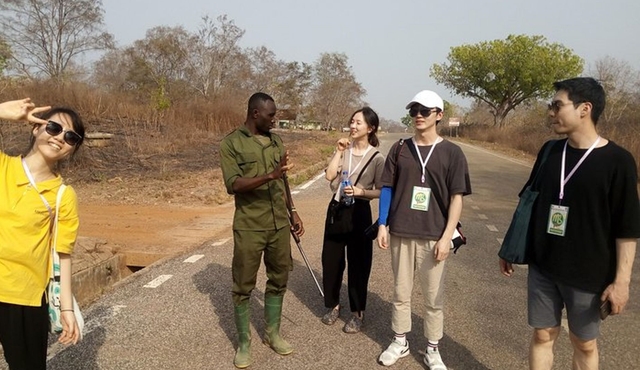 Tamale Private Mole National Park Day Trip