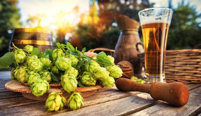 Private German Beer Tasting Tour in Rostock Old Town