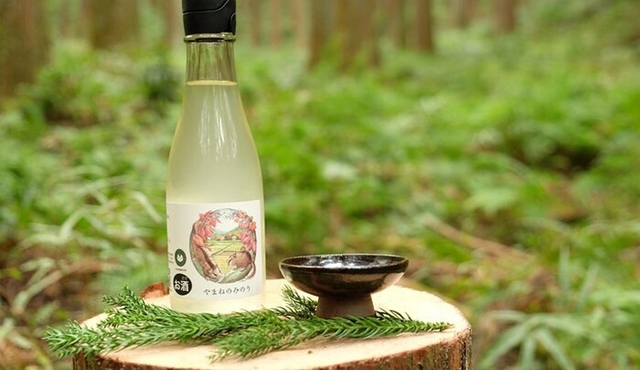Cultural Sake Brewery Private Tour & Unlimited Tasting Near Tokyo