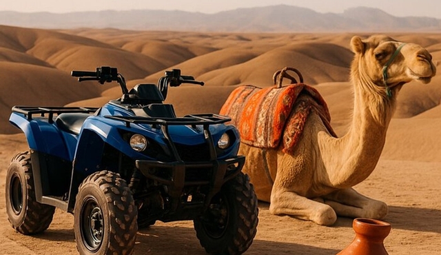 Agafay Adventure: Quad, Camel, Dinner & Pool