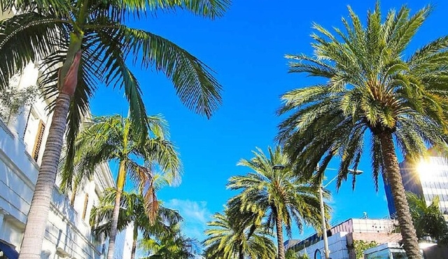 Beverly Hills & Rodeo Drive: Private 2‐hour Walking Tour