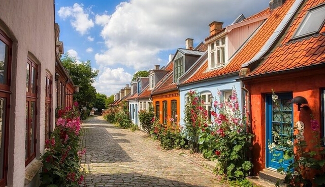 Half Day Private Tour of Aarhus Like a Local