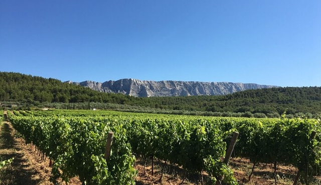 Marseille to Cotes de Provence Sainte‐Victoire Wine Tour