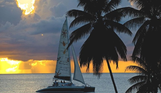 Sunset Catamaran and Snorkeling Cruise At Carlisle Bay