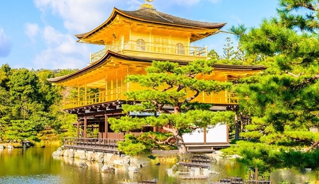 Full Day Guided Kyoto Cultural Tour
