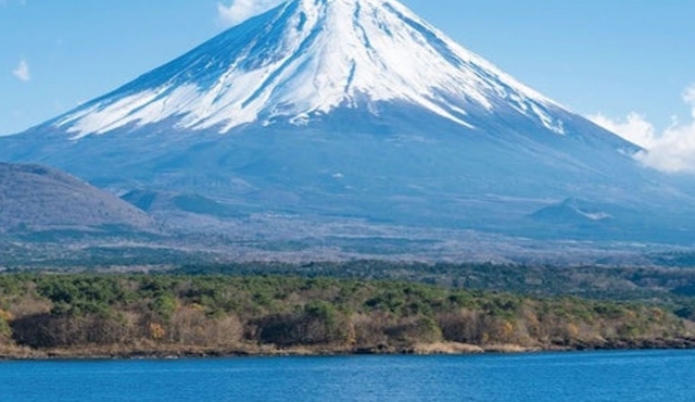 Mount Fuji & Arakura Sengen Shrine: Guided Day Tour from Tokyo + Lunch