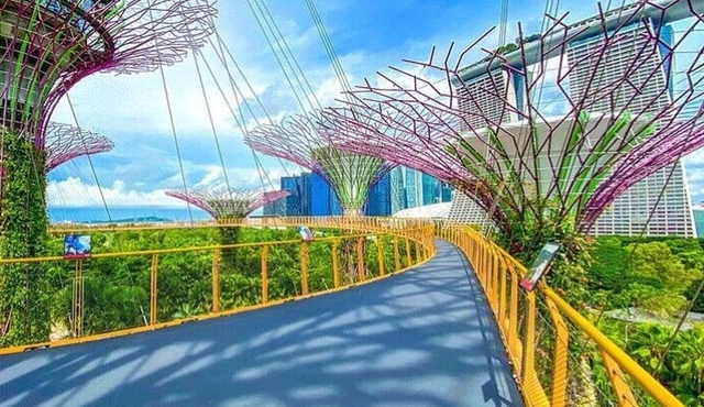 Gardens by the Bay with Flower Dome and Cloud Forest Singapore