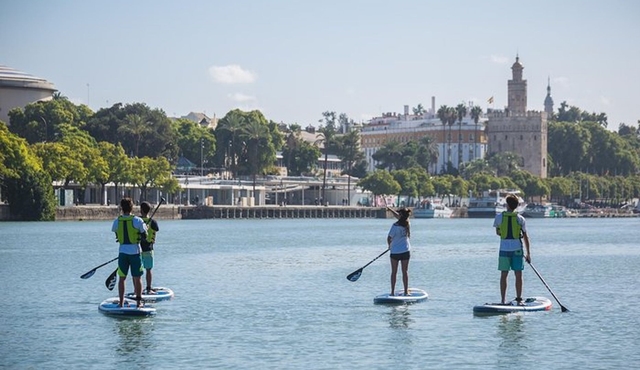 Seville Paddle Surf Group Tour
