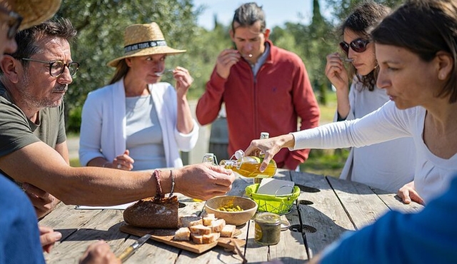 Languedoc Wine and Olive Oil Small‐Group Tour from Montpellier