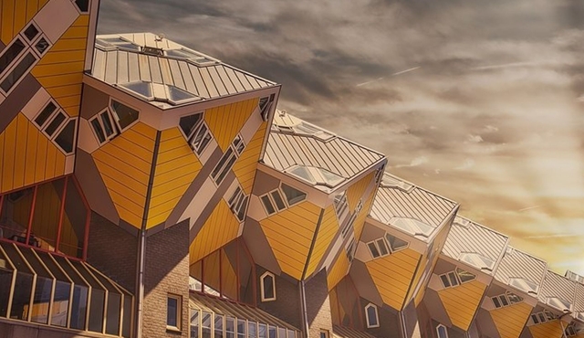 Rotterdam Private Walking Tour With A Professional Guide
