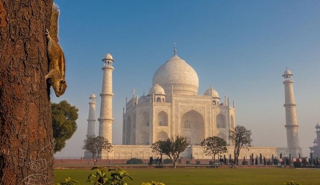 Private Day Tour to Taj Mahal and Agra Fort from Delhi by Car