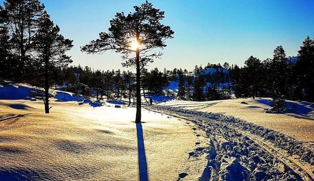 Trondheim Small‐Group Cross‐Country Skiing Adventure