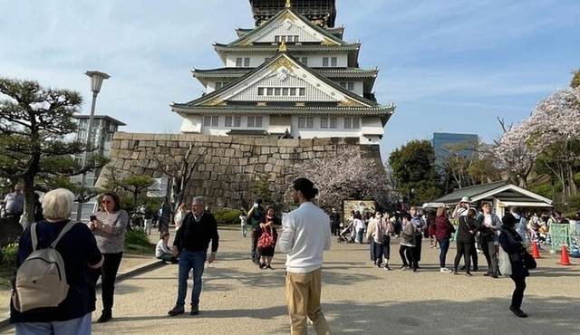 Osaka Explore Every Bit of Osaka Castle in 3 Hours