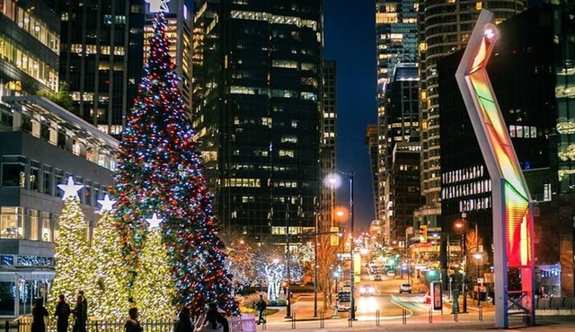 Vancouver Christmas Light Tour private