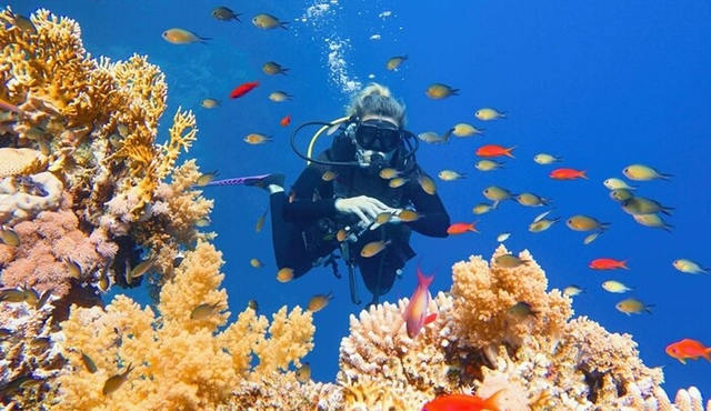 Private Snorkeling day Trip with Paradise Island or Orange Bay