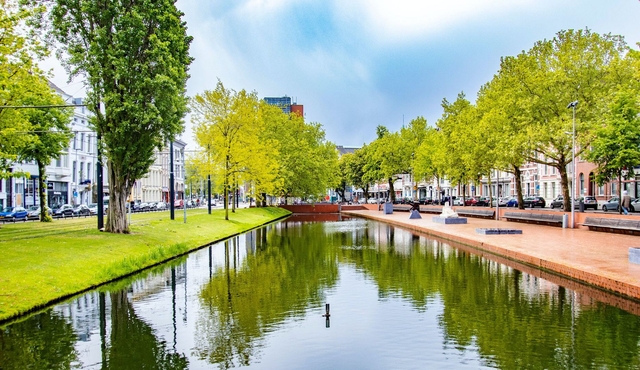 Architectural walk of Rotterdam with a Local