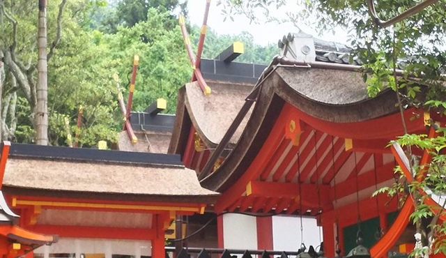 Relax in Nara: Deer Park, Todai‐ji Temple and Merchants' Town