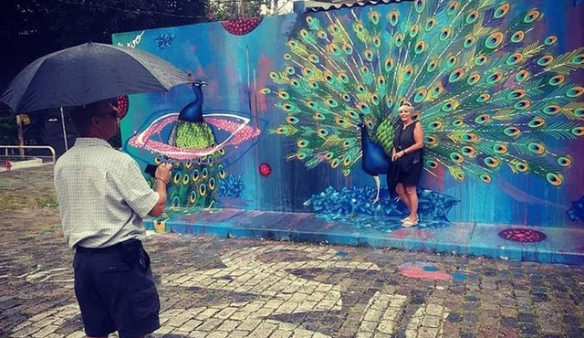Sao Paulo Private Street Art Tour with Batman Alley