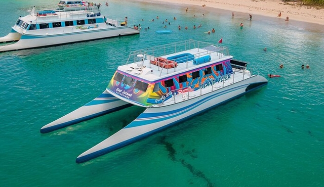 Full Day Vieques Beach Tour by Catamaran from Fajardo