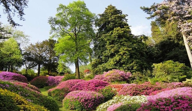 Lake Como, Villa Carlotta, Bellagio — Full day