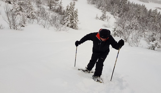Snowshoeing in Trondheim