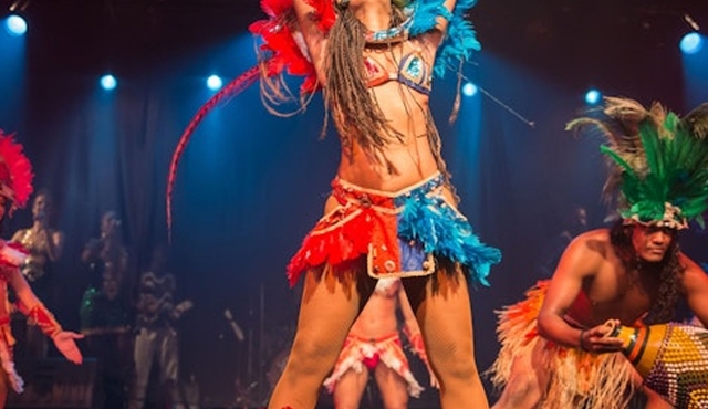 Rio de Janeiro: Tropical Carnival Show