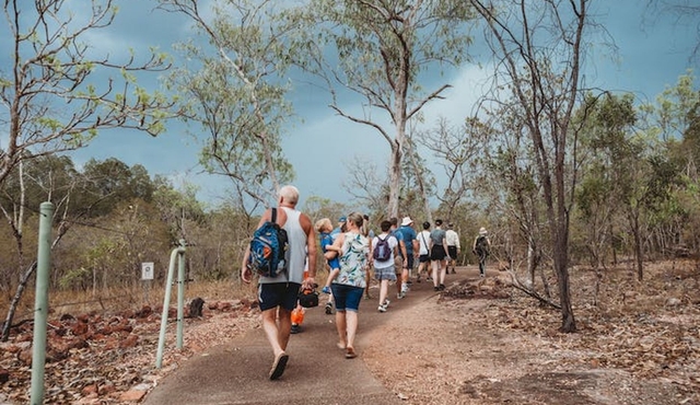 Litchfield National Park full day sightseeing tour in Darwin