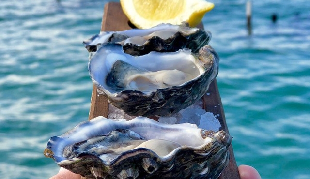 Highlights of Coffin Bay: Small‐Group Tour from Port Lincoln