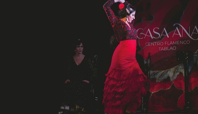Traditional Flamenco Show at Tablao Casa Ana in Granada