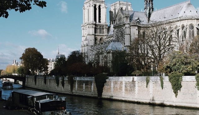 Paris City Center Plus Notre‐Dame: Private Guided Walking Tour