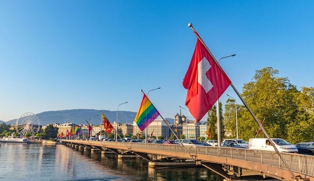 1 Hour Express Walk of Geneva with a Local