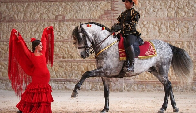 Equestrian Show Royal Stables of Córdoba