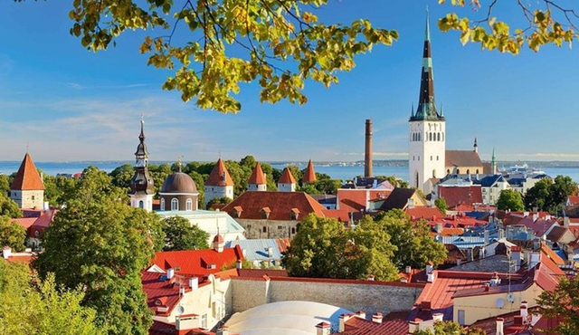 Private Walking Tour of Tallinn Old Town