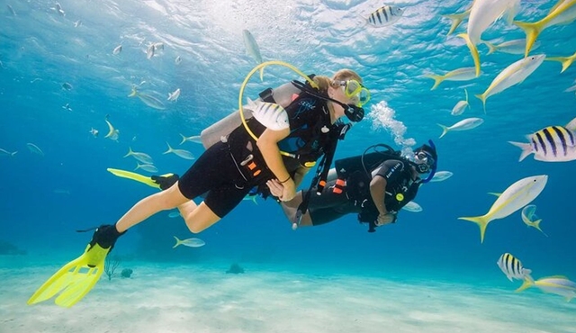 Jeddah Scuba Diving Explore Red Seas Underwater Treasures