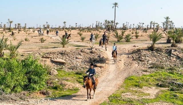 Private horseback ride in the Palmeraie of Marrakech