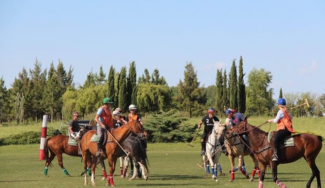 Horseback Riding and Polo in Buenos Aires