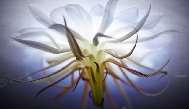 Photography workshop in Sydney — Learn to shoot in Manual Mode