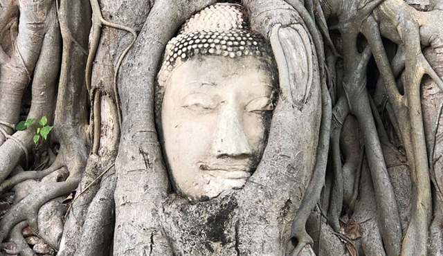 Ayutthaya private day tour from Bangkok