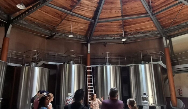 Bordeaux wine tour: 2 wineries (red & white wine)