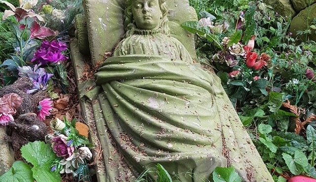 Guided Overleigh Cemetery Tour in Chester